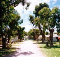 Bathers Paradise Caravan Park - St Kilda Accommodation