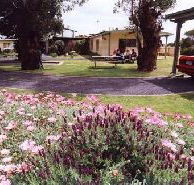 Brigadoon Holiday Units - St Kilda Accommodation