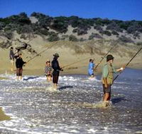 Flippers Beachouse - St Kilda Accommodation