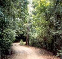 Mt Glorious Getaway Cottages And Conference Centre - St Kilda Accommodation