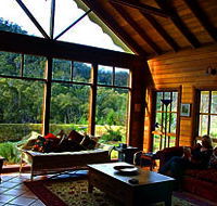 Springvale Retreat - St Kilda Accommodation