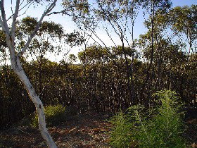 Yornaning ACT St Kilda Accommodation