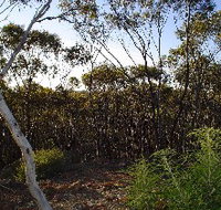 Lions Dryandra Woodlands Village - St Kilda Accommodation