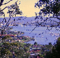 Possums Bed amp Breakfast - St Kilda Accommodation