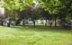 Cowra Van Park - thumb 0