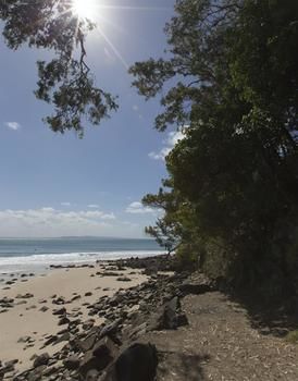 Sofitel Noosa Pacific Resort - St Kilda Accommodation 36