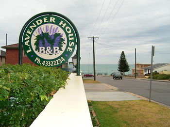 Lavender House B&B - St Kilda Accommodation 18