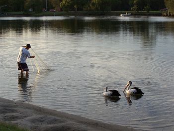 Maroochy River Resort & Bungalows - St Kilda Accommodation 6