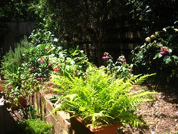 Bungunyah Apartments - St Kilda Accommodation 1