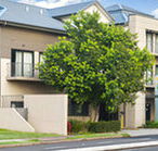 Quest Maitland Serviced Apartments - St Kilda Accommodation