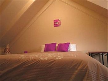 Barrington Wilderness Cedar Lodge Accommodation - St Kilda Accommodation 2