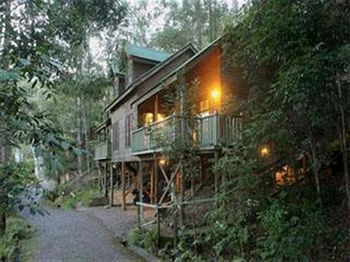 Barrington Wilderness Cedar Lodge Accommodation - St Kilda Accommodation 3