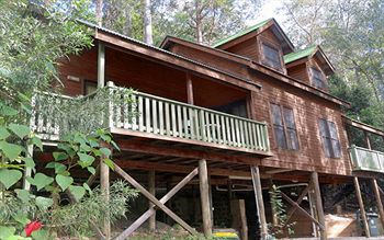 Barrington Wilderness Cedar Lodge Accommodation - St Kilda Accommodation 12