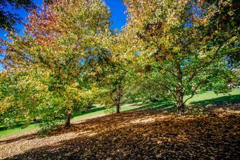 Avoca Valley Bed & Breakfast - St Kilda Accommodation 14