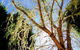 Avoca Valley Bed & Breakfast - thumb 23