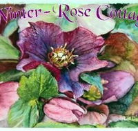 A Winter-rose Cottage BampB - St Kilda Accommodation