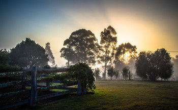 Elfin Hill Country Accommodation - St Kilda Accommodation 10