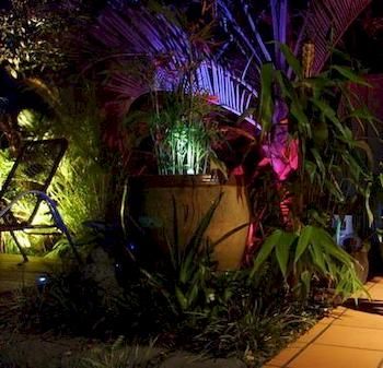 Tantarra Bed And Breakfast - St Kilda Accommodation 4