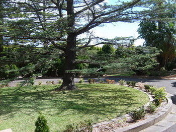 Tantarra Bed And Breakfast - St Kilda Accommodation 14