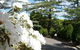 Tantarra Bed And Breakfast - thumb 15