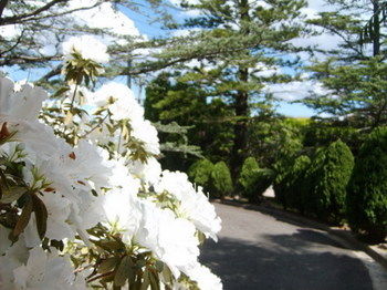 Tantarra Bed And Breakfast - St Kilda Accommodation 15