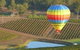 Hunter Valley Bed & Breakfast - thumb 1