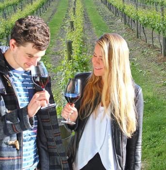 Valley Farm Vineyard Cottages - St Kilda Accommodation 0