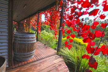 Valley Farm Vineyard Cottages - St Kilda Accommodation 5