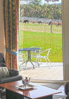 Valley Farm Vineyard Cottages - St Kilda Accommodation 9