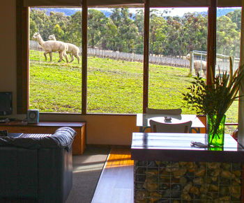 Valley Farm Vineyard Cottages - St Kilda Accommodation 17