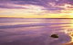 Kims Beachside Lodges - thumb 22
