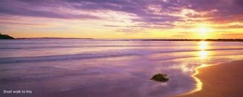 Kims Beachside Lodges - St Kilda Accommodation 22