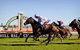 Hawkesbury Race Club Motel - thumb 12