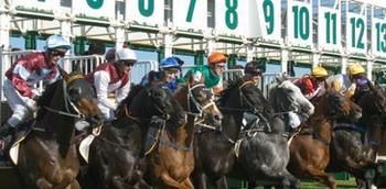 Hawkesbury Race Club Motel - St Kilda Accommodation 13