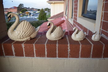 Meurants Manor Bed And Breakfast - St Kilda Accommodation 15