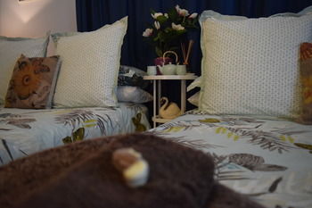 Meurants Manor Bed And Breakfast - St Kilda Accommodation 38