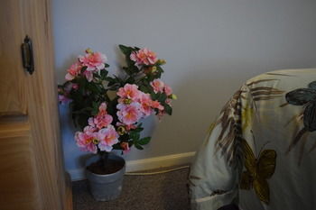 Meurants Manor Bed And Breakfast - St Kilda Accommodation 42