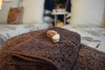 Meurants Manor Bed And Breakfast - St Kilda Accommodation 52