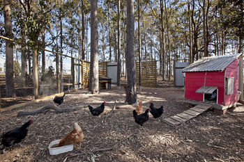 Block Eight - St Kilda Accommodation 10