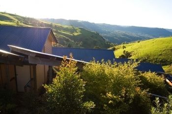 Top Of The Hill - St Kilda Accommodation 4