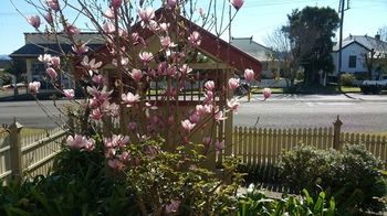 37 Queen Gloucester - St Kilda Accommodation 5