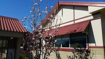 37 Queen Gloucester - St Kilda Accommodation 12