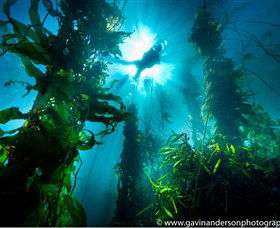 43 Degrees Bruny Island - St Kilda Accommodation 4