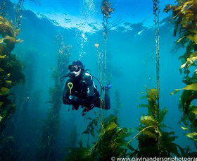 43 Degrees Bruny Island - St Kilda Accommodation 3
