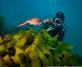 43 Degrees Bruny Island - St Kilda Accommodation 5