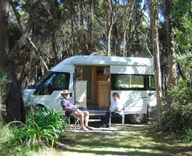 Crayfish Creek Van And Cabin Park And Spa Treehouse - St Kilda Accommodation 3