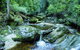 Tarkine Wilderness Experience At Corinna - thumb 0
