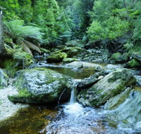 Tarkine Wilderness Experience at Corinna - St Kilda Accommodation