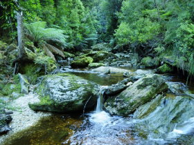 Tarkine Wilderness Experience At Corinna - St Kilda Accommodation 0