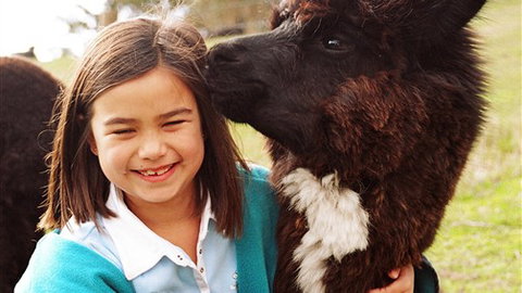 Sabrelyn Park - St Kilda Accommodation 1